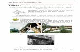 Curs Elementele Componente Ale Podurilorr