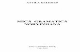 _Mica Gramatica a Limbii Norvegiene