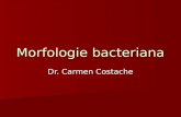 Curs 2 Morfologie Bacteriana