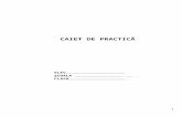 144126306 Caiet Practica Final