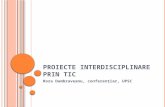 Proiecte Interdisciplinare Prin TIC