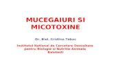 Mucegaiuri Si Micotoxine (1)
