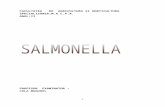 Referat Salmonella