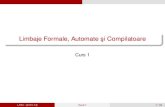 Limbaje Formale Automate si Compilatoare