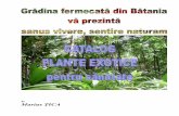 Catalog Plante Exotice Pentru Sanatate - Gradina Fermecata