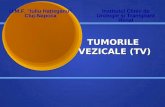 Curs 6 TUMORILE VEZICALE+Uroteliala Inalta