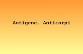 51158715 Antigene Si Anticorpi