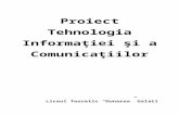Proiect Internet TIC