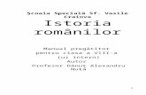 Istorie Manual