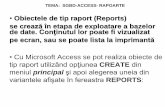 Sgbd Access Rapoarte