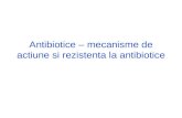 Antibiotice _ Mecanisme de Actiune Si Rezistenta La