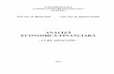 Curs Analiza Economica-financiara