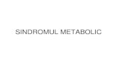Sindromul Metabolic Descriere