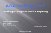 Cronologia Colegiul Tehnic Campulung Refacuta !
