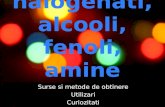 Derivati Halogenati, Alcooli, Fenoli, Amine