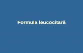 Formula Leucocitara