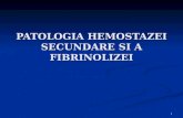 Patologia Hemostazei Secundare Si Fibrinolizei Carmen