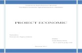 PDF Proiecte Economice Agroinvest SRL Turnu Magurele