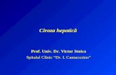 Ciroza hepatică Prof. Dr. Stoica 2013