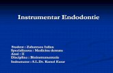 Instrumentar Endodontie bun