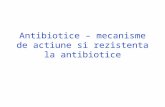 Antibiotice _ Mecanisme de Actiune Si Rezistenta La