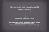 Structuri de Constructii Stratificate