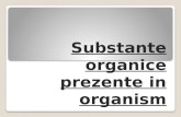Www.referate.ro-substante Organice Ppt e1b01