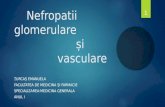Nefropatii glomerulare si vasculare