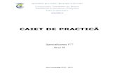 Caiet de Practica ITT-2013