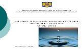 ANPM raport 2011