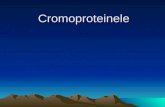 9.Cromoproteinele Rom