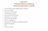 ERP Cap1 Portal