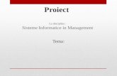Proiect Sisteme informatice in Management