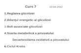 Reglarea Glicolizei, Decarboxilare Piruvat, Krebs