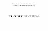 Florin Toma - Floricultura ID