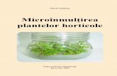 Microinmultirea plantelor