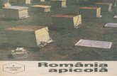 Romania Apicola 1992 Nr.8 August