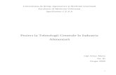 Proiect - Tehnologia de Obtinere a Muschiului Tiganesc 2011