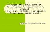 Managementul Unui Proiect - Metodologii de Management de Proiect