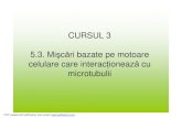 Curs 3, Misc Cel, Nucleu, Cromos, Md 2011-2012
