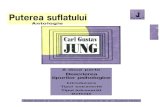 Jung - Puterea Sufletului 2 - Descrierea Tipurilor Psihologice - Ed. Anima