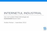 Andrei Hohan Internetul Industrial