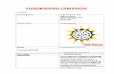 Black Hole Cinema - Foundraising Campaign