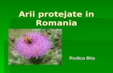 Arii protejate in Romania