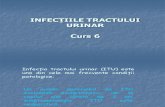 Curs 6 Infectii Tract Urinar - Itu