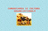 CS.5    CULTURA ORGANIZATIONALĂ CC 2013