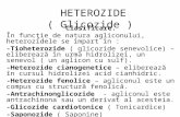 HETEROZIDE ( Glicozide )