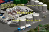 Biodiesel Prezentare