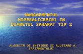Managementul Hiperglicemiei in Diabetul Zaharat Tip 2