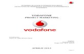 137945243 Vodafone Studiu de Marketing Docx